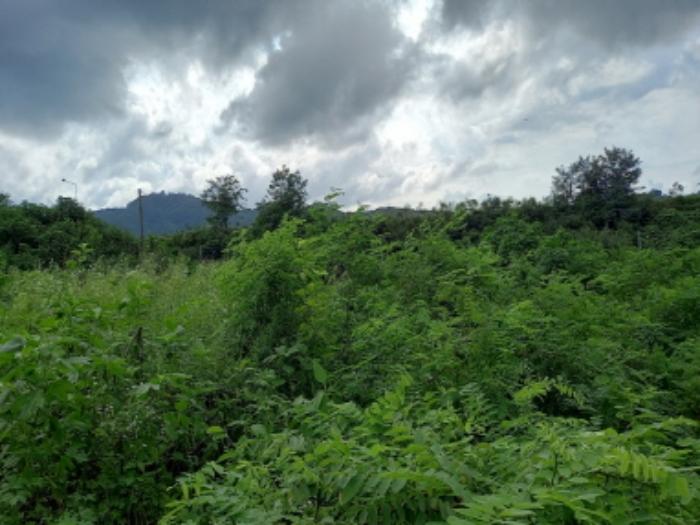 경기도 연천군 연천읍 옥산리 400-7 임야 경매 사진 20