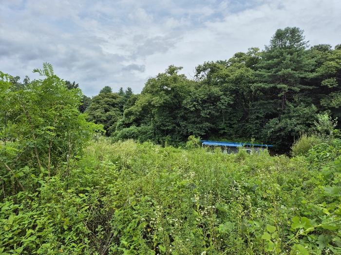 경기도 연천군 연천읍 옥산리 400-7 임야 경매 사진 9