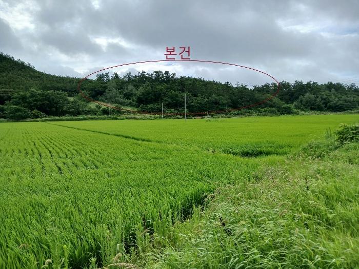 전남 신안군 전