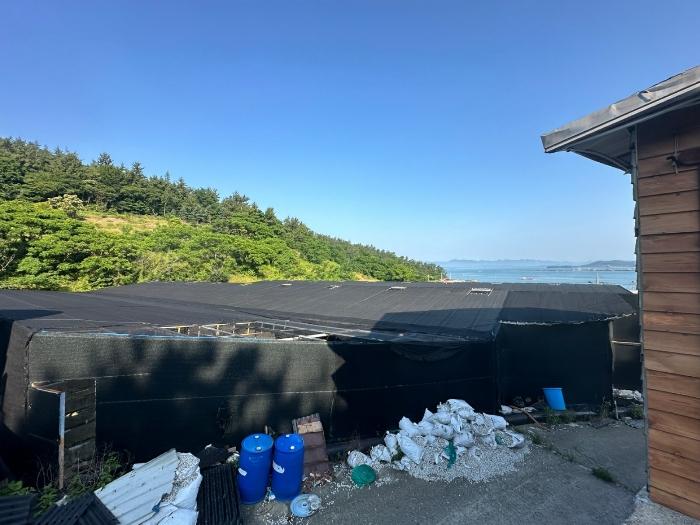 전라남도 완도군 고금면 가교리 960 창고 경매 사진 6