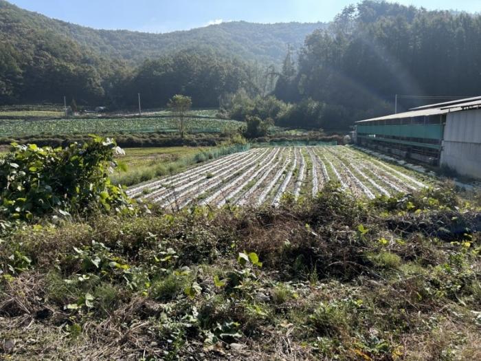 충청북도 보은군 산외면 가고리 33 전 경매 사진 1