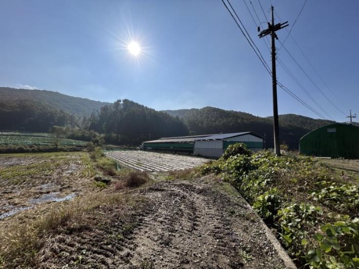 충청북도 보은군 산외면 가고리 33 전 경매 사진 2