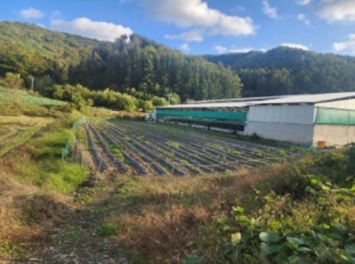 충청북도 보은군 산외면 가고리 33 전 경매 사진 5