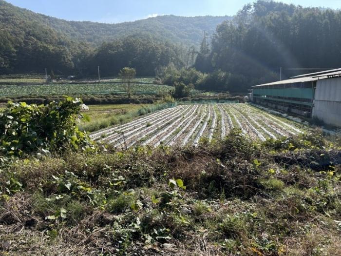 충청북도 보은군 산외면 가고리 33 전 경매 사진 7