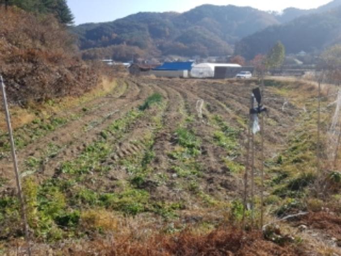강원특별자치도 홍천군 남면 화전리 572 답 경매 사진 10
