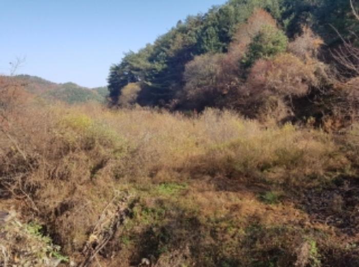 강원특별자치도 홍천군 남면 화전리 572 답 경매 사진 11