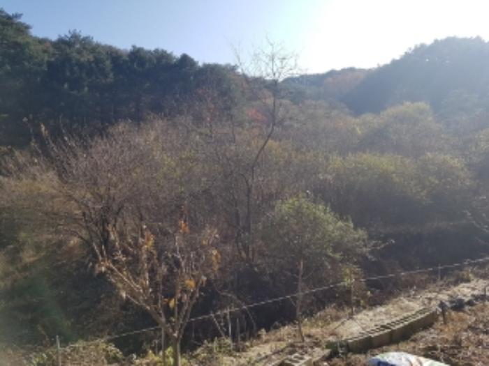 강원특별자치도 홍천군 남면 화전리 761-1 답 경매 사진 12