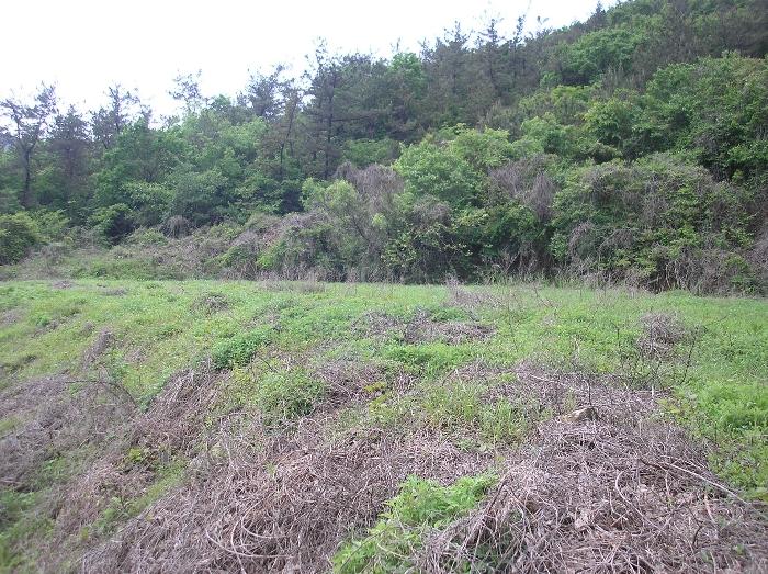 전라남도 고흥군 포두면 상포리 920-1 답 경매 사진 22