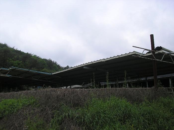 전라남도 고흥군 포두면 상포리 920-1 답 경매 사진 28