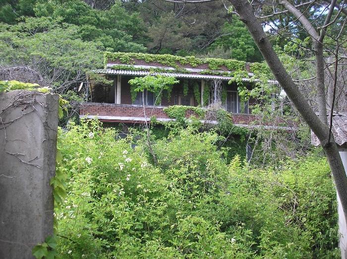 전라남도 고흥군 포두면 상포리 920-1 답 경매 사진 3