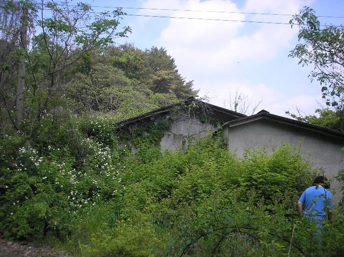 전라남도 고흥군 포두면 상포리 920-1 답 경매 사진 47