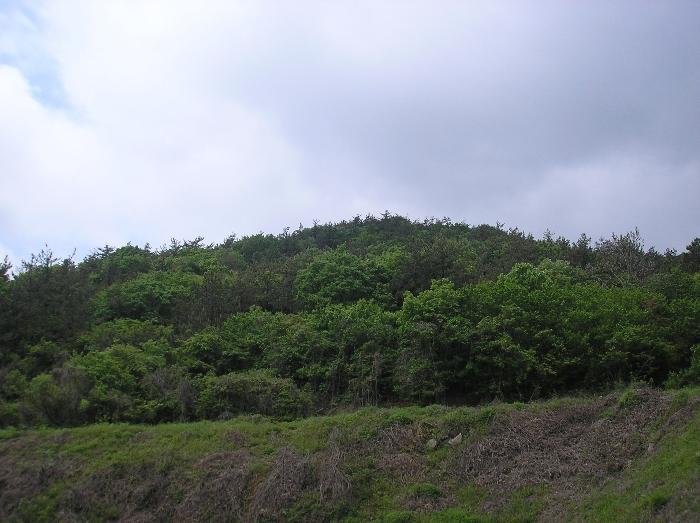 전라남도 고흥군 포두면 상포리 920-1 답 경매 사진 58