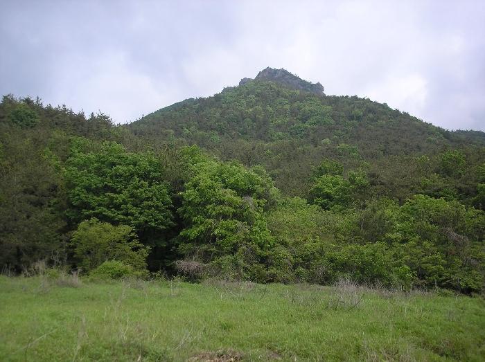 전라남도 고흥군 포두면 상포리 920-1 답 경매 사진 69