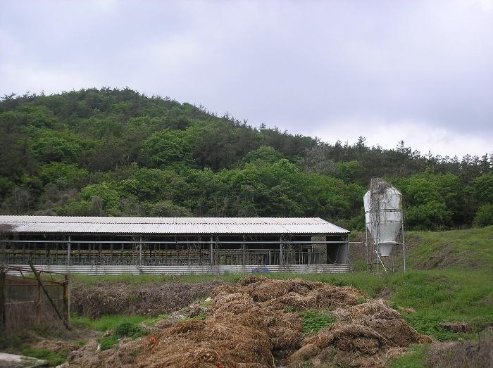전라남도 고흥군 포두면 상포리 920-1 답 경매 사진 7