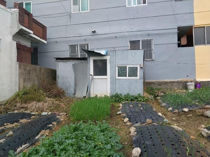 울산광역시 동구 화정동 858-21 대지 경매 사진 3
