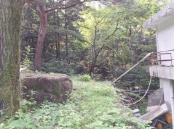 전라남도 광양시 봉강면 신룡리 산207 임야 경매 사진 23