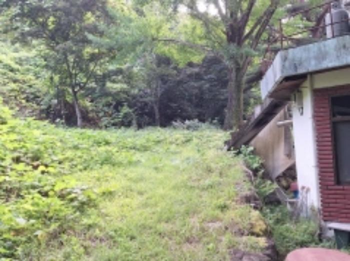 전라남도 광양시 봉강면 신룡리 산207 임야 경매 사진 24