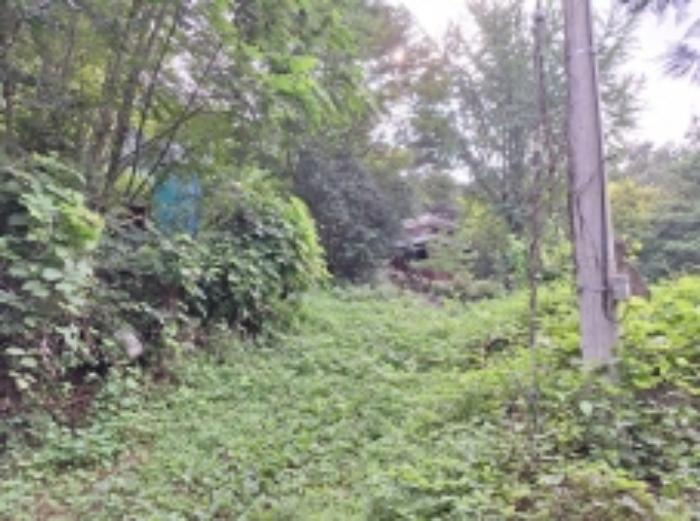 전라남도 광양시 봉강면 신룡리 산207 임야 경매 사진 25
