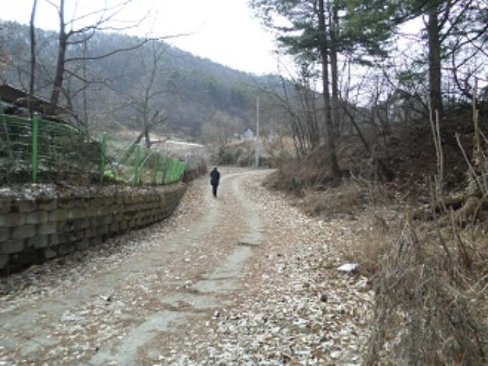 강원특별자치도 원주시 부론면 노림리 11-4 전 경매 사진 14