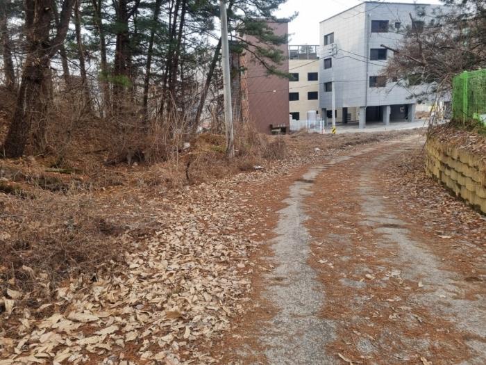 강원특별자치도 원주시 부론면 노림리 11-4 전 경매 사진 3