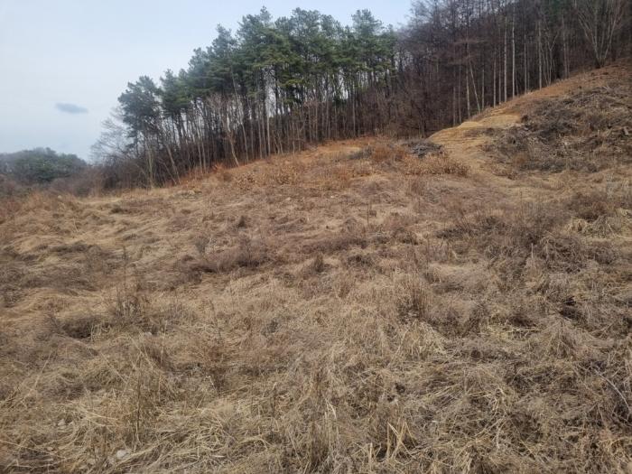 강원특별자치도 원주시 부론면 노림리 11-4 전 경매 사진 9