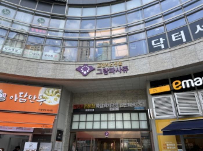 경기도 하남시 미사강변동로 95, 1층1089호 (망월동,힐스테이트미사역그랑파사쥬(12-1블럭))구) 경기도 하남시 망월동 1100 근린상가 경매 사진 10