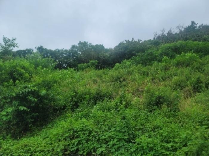 경상남도 거제시 연초면 천곡리 222-3 전 경매 사진 14
