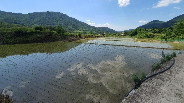 경남 산청군 단성면 운리 273 답 사진 2