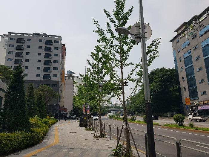 서울특별시 서대문구 통일로 545, 5층502호 (홍은동,진성위메이드)구) 서울특별시 서대문구 홍은동 168-2 오피스텔 경매 사진 3