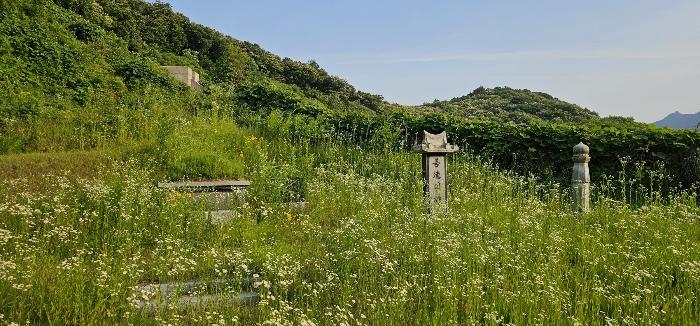 경기도 의정부시 산곡동 산64-3 임야 경매 사진 2