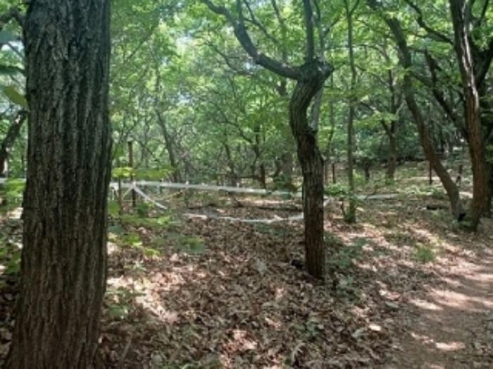 경기도 의정부시 산곡동 산64-3 임야 경매 사진 21