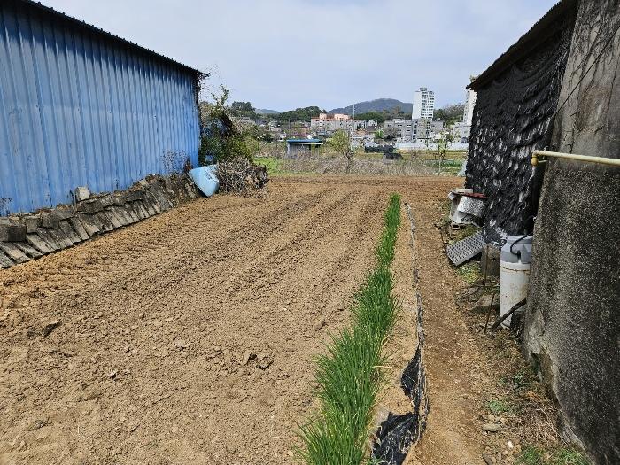 경상남도 함안군 군북면 덕대리 356-1 전 경매 사진 4