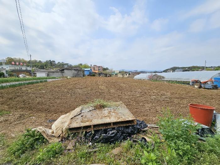 경상남도 함안군 군북면 덕대리 356-1 전 경매 사진 6