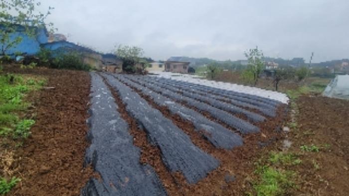 경상남도 함안군 군북면 덕대리 356-1 전 경매 사진 7