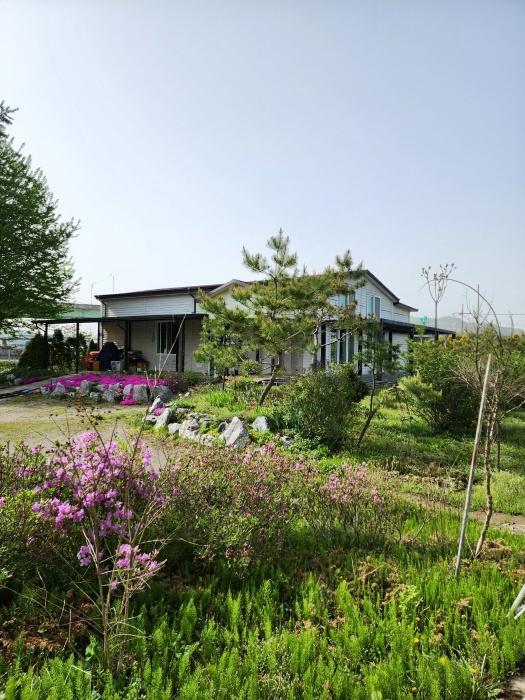 충청북도 충주시 용관동 143-1 창고 경매 사진 13
