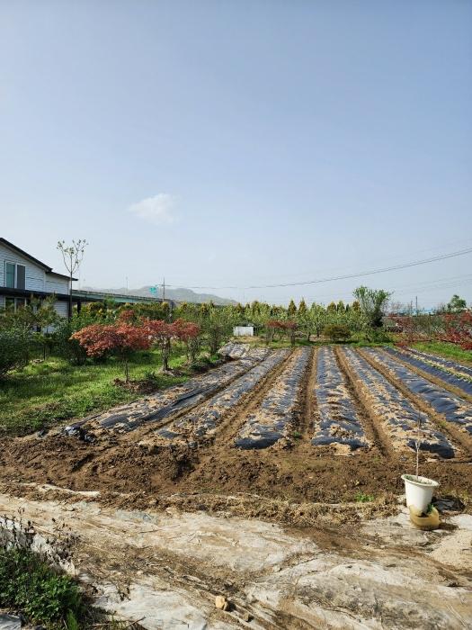 충청북도 충주시 용관동 143-1 창고 경매 사진 14
