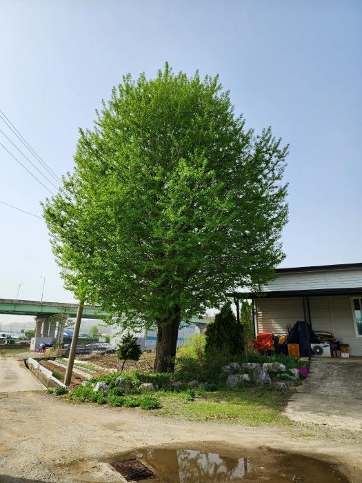 충청북도 충주시 용관동 143-1 창고 경매 사진 17