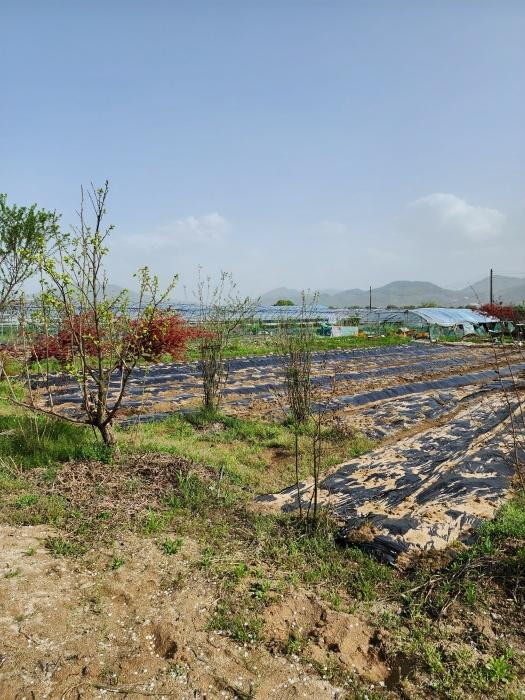 충청북도 충주시 용관동 143-1 창고 경매 사진 2