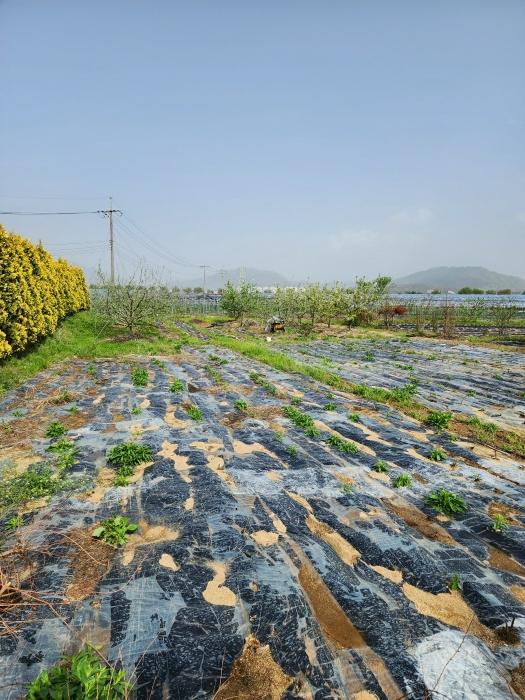충청북도 충주시 용관동 143-1 창고 경매 사진 19