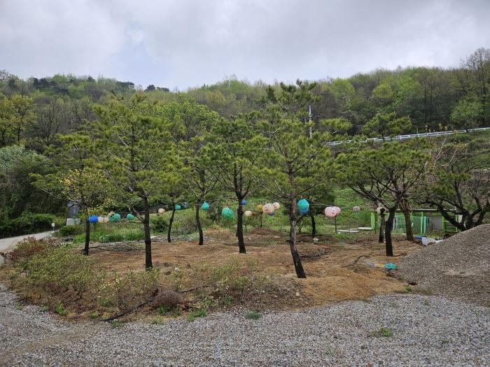 충청북도 충주시 앙성면 목미리 481 종교시설 경매 사진 3