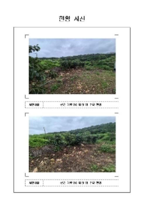 전라남도 영암군 학산면 독천리 118 답 경매 사진 13
