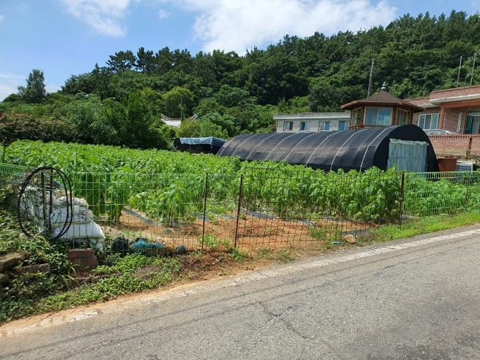 전라남도 영암군 학산면 독천리 118 답 경매 사진 5