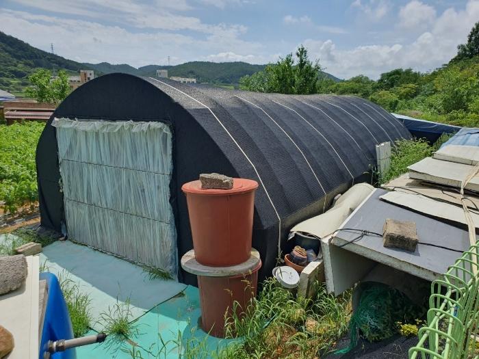 전라남도 영암군 학산면 독천리 118 답 경매 사진 8
