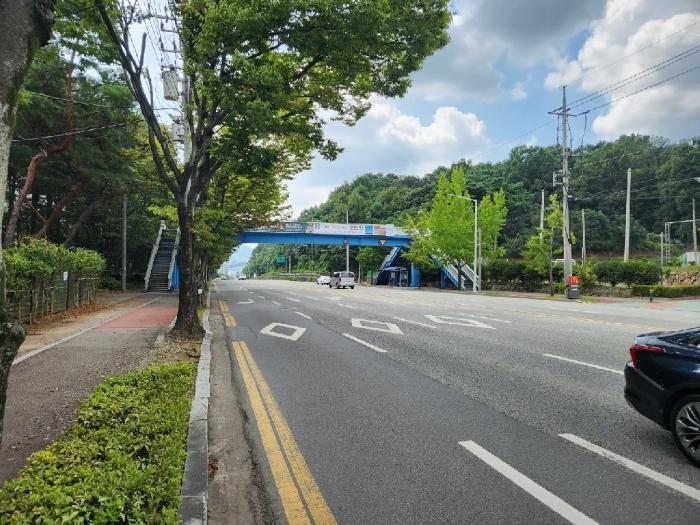 전라남도 순천시 도장길 50, 209동 1층106호 (연향동,호반리젠시빌)구) 전라남도 순천시 연향동 1628 아파트 경매 사진 8