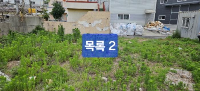 부산광역시 강서구 강동동 169 대지 경매 사진 10