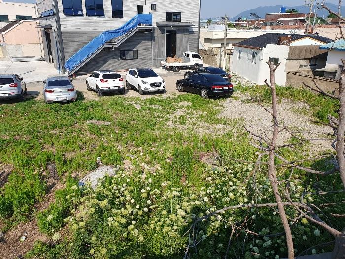 부산광역시 강서구 강동동 169 대지 경매 사진 5