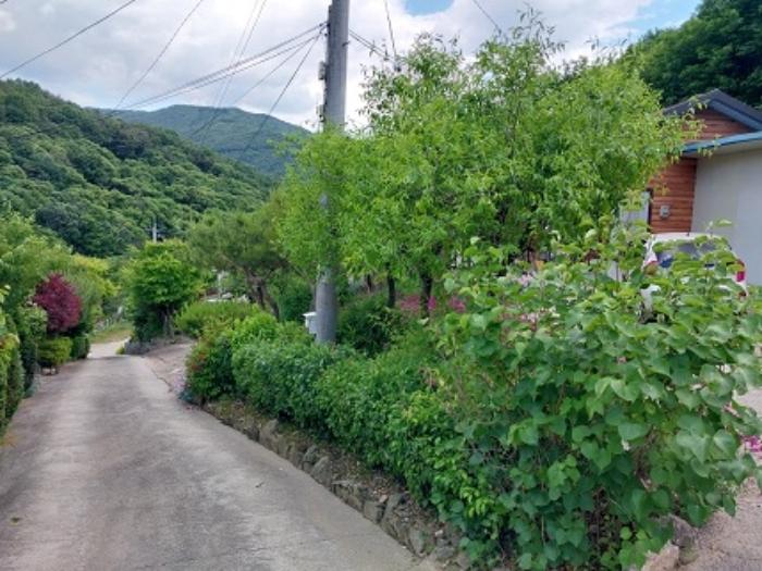 충청남도 공주시 유구읍 추계리 687 펜션(캠핑장) 경매 사진 17