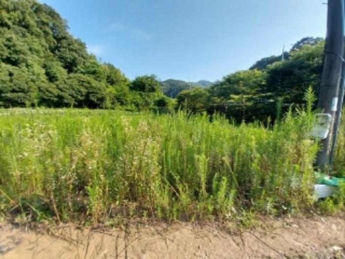 충청남도 공주시 유구읍 유구리 61-1 전 경매 사진 14