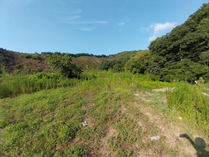 충청남도 공주시 유구읍 유구리 64 전 경매 사진 16