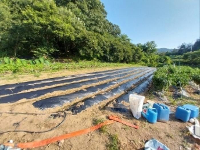 충청남도 공주시 유구읍 유구리 64 전 경매 사진 17